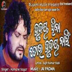 Hrudaya Hina Tora Hrudaya Nahin